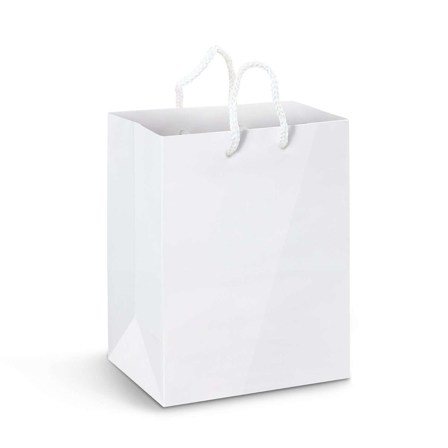 Large Laminated Paper Carry Bag - Full Colour Corporate Gift Singapore