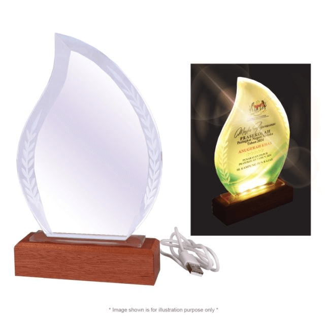 Crystal Award With LED Light on a wooden base, perfect as a corporate gift, showcasing elegance and style.