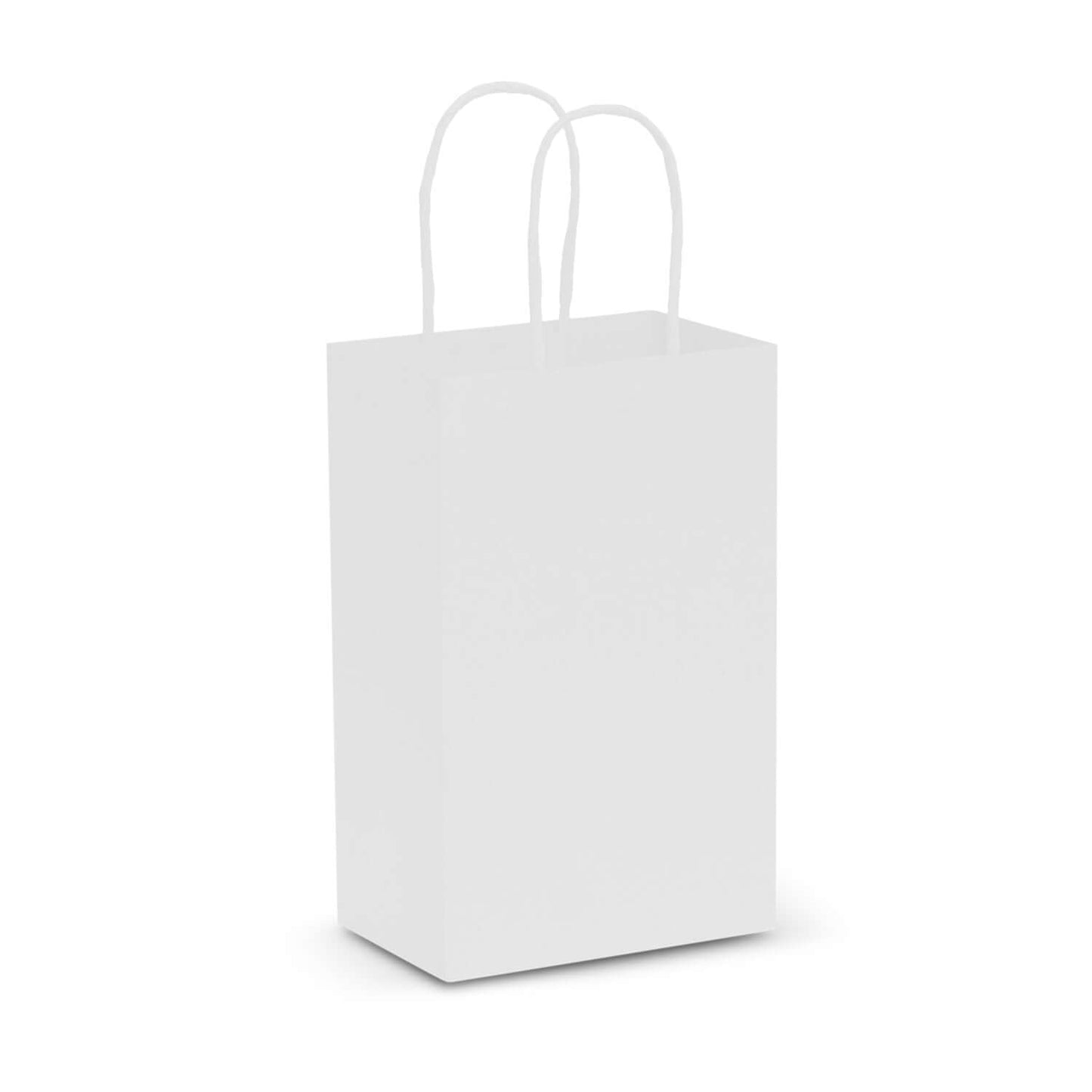 Small Flat Handle Paper Bag Landscape Corporate Gift Singapore