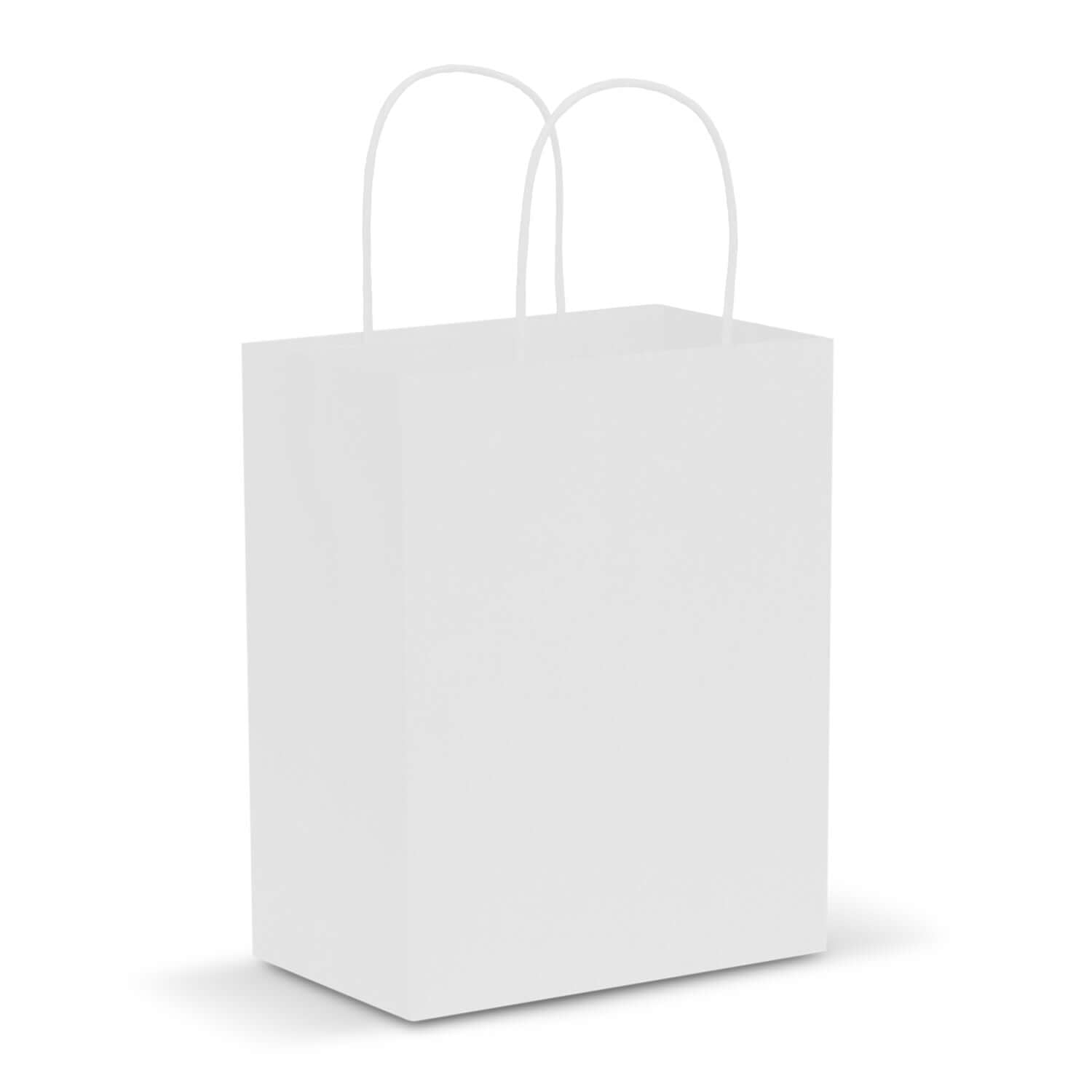 Paper Carry Bag - Medium Corporate Gift Singapore