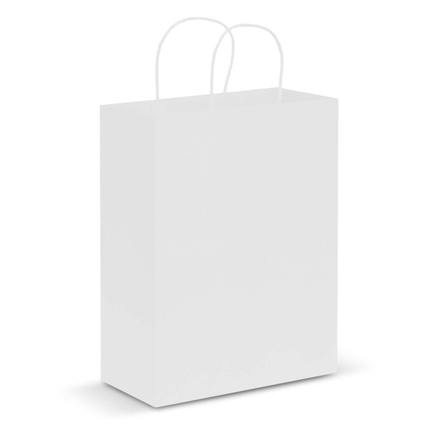 Paper Carry Bag - Large Corporate Gift Singapore