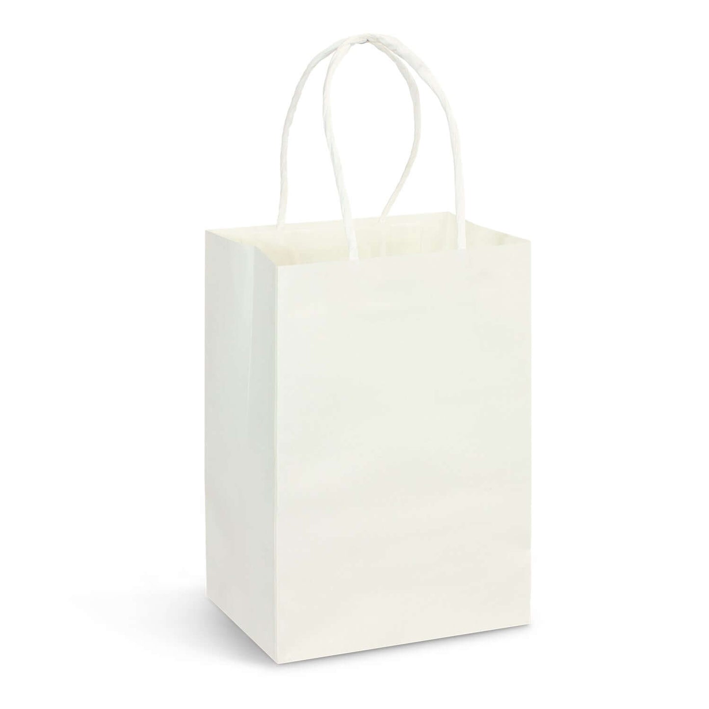 Small Paper Carry Bag - Full Colour Corporate Gift Singapore
