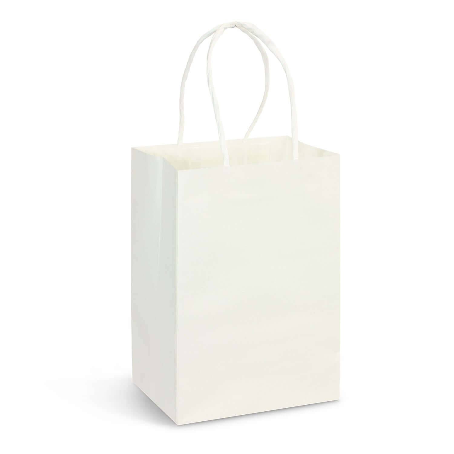 Small Paper Carry Bag - Full Colour Corporate Gift Singapore