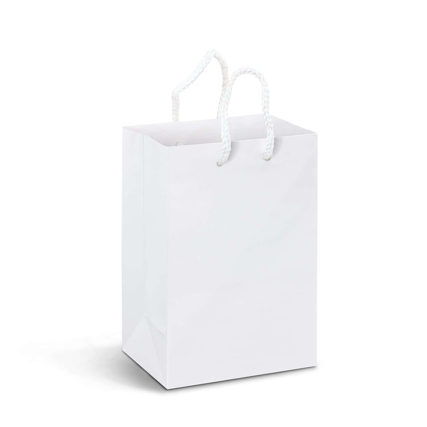 Small Laminated Paper Carry Bag - Full Colour Corporate Gift Singapore