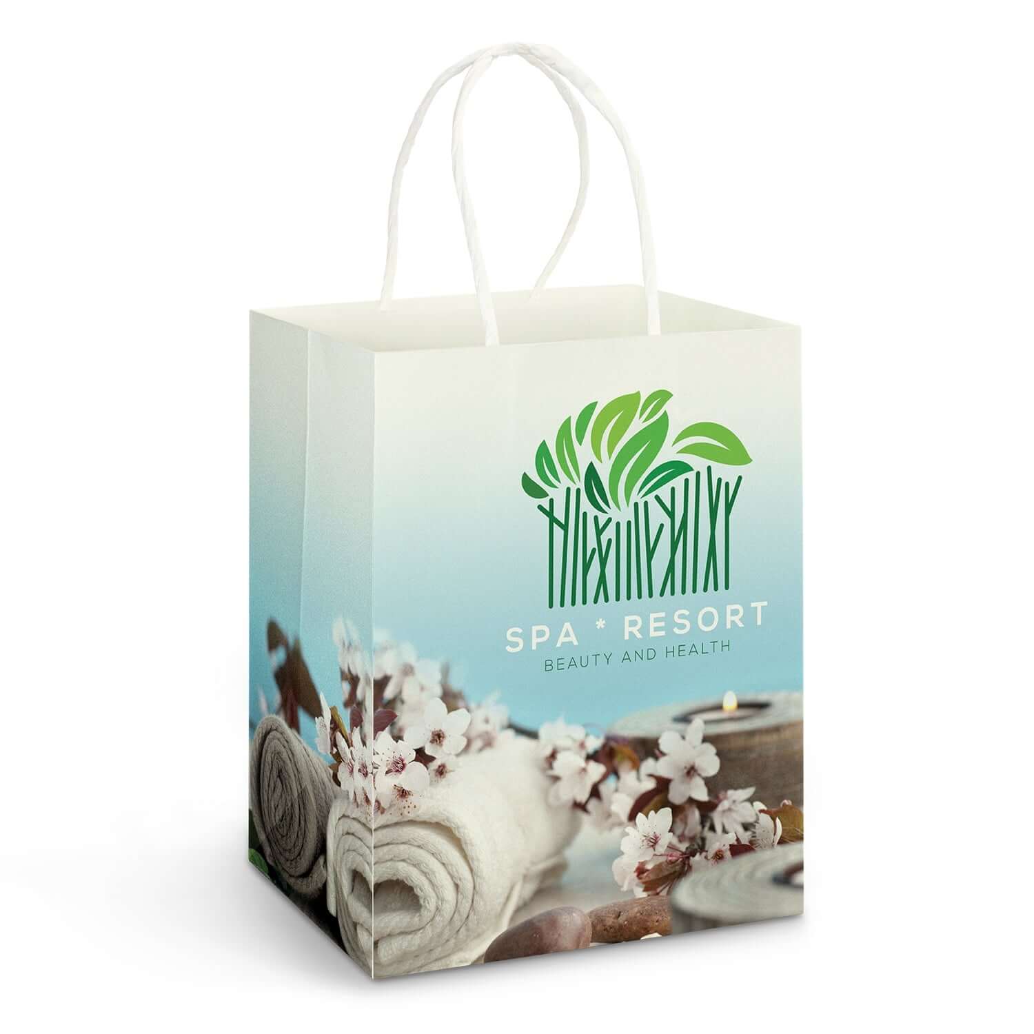 Large Paper Carry Bag - Full Colour Corporate Gift Singapore