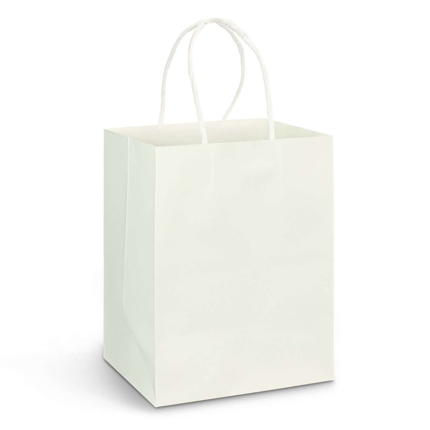 Large Paper Carry Bag - Full Colour Corporate Gift Singapore