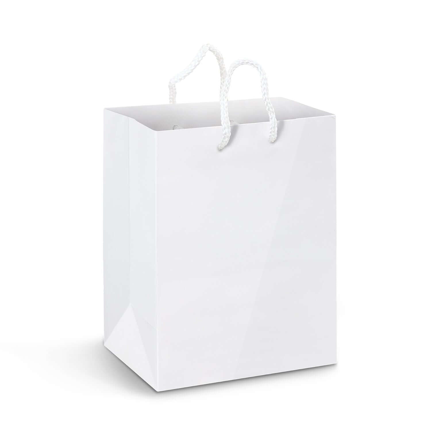 Large Laminated Paper Carry Bag - Full Colour Corporate Gift Singapore