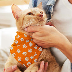 Pet Bandana Small Corporate Gift Singapore