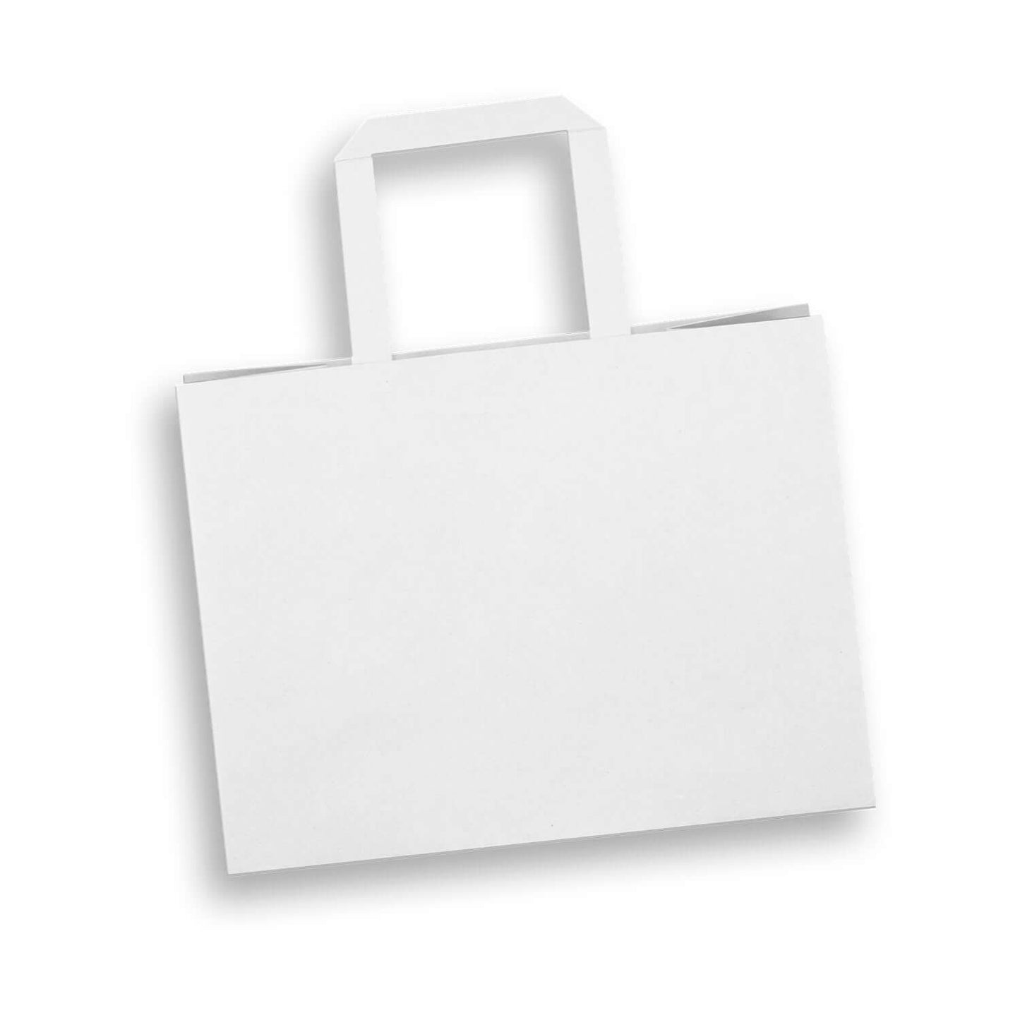 Medium Flat Handle Paper Bag Landscape Corporate Gift Singapore