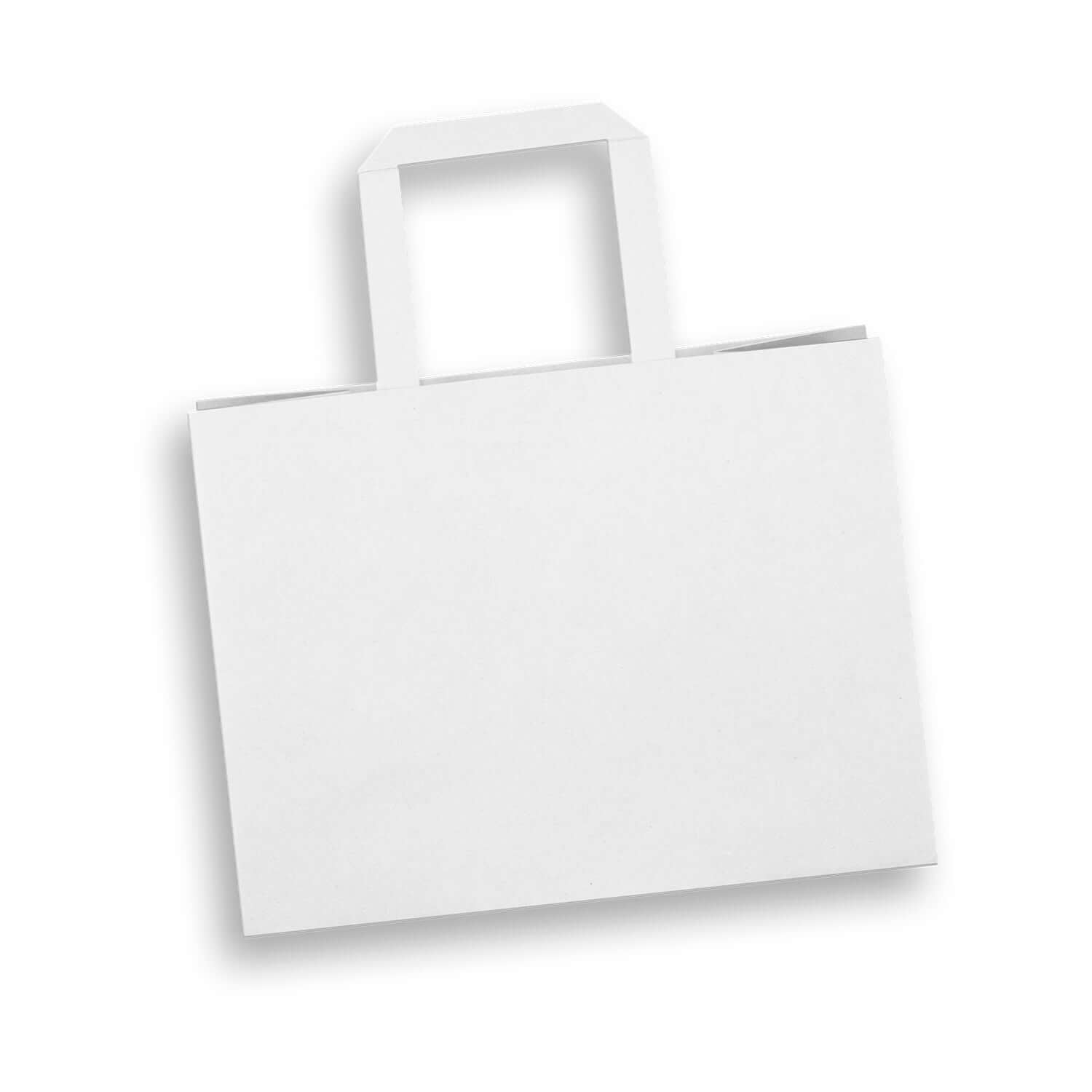 Medium Flat Handle Paper Bag Landscape Corporate Gift Singapore