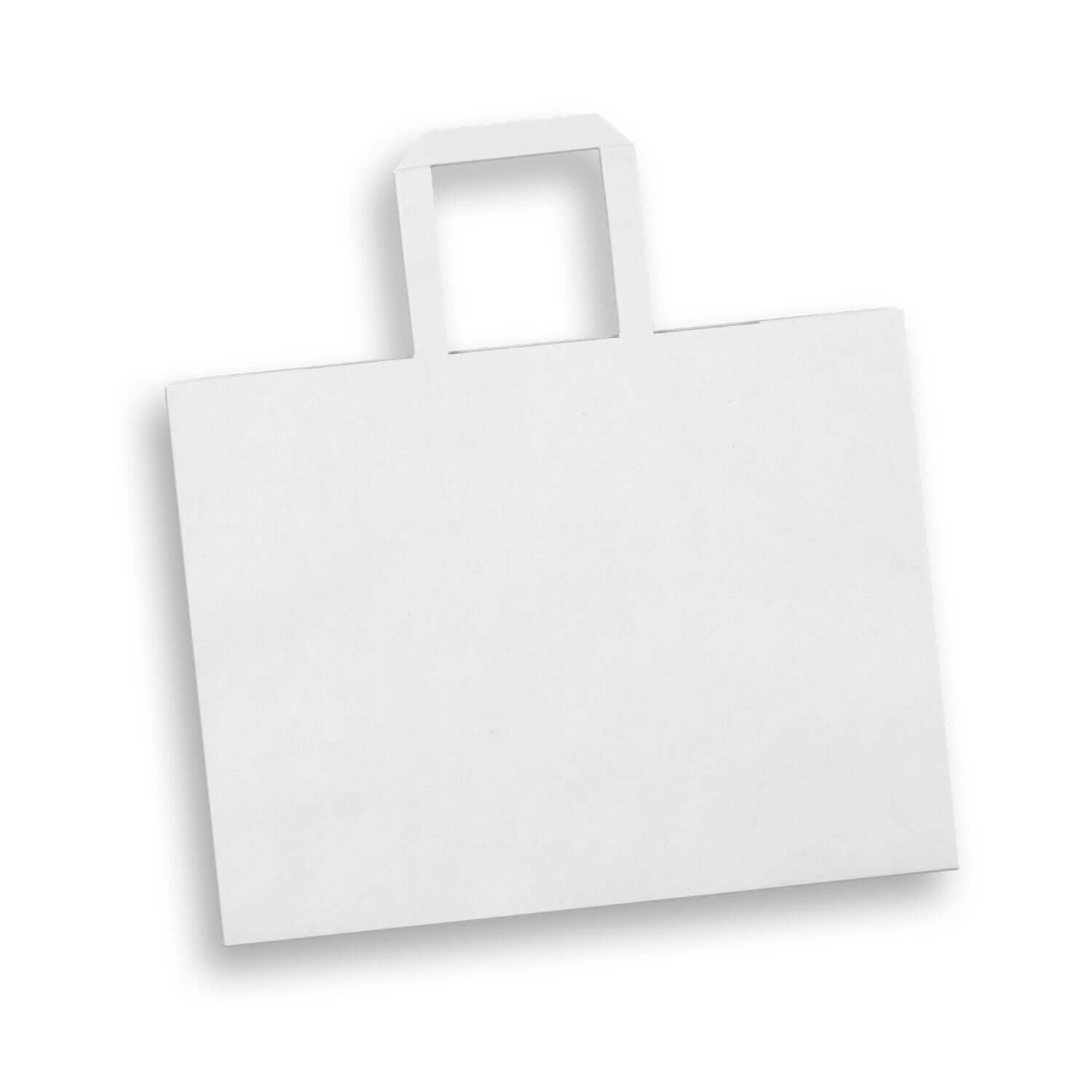 Large Flat Handle Paper Bag Landscape Corporate Gift Singapore