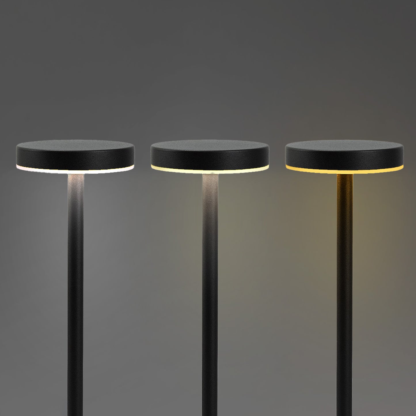 Nouveau Rechargeable Table Lamp