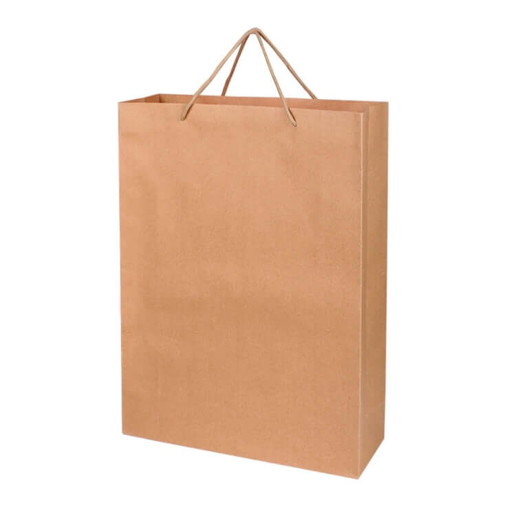 Recycle Paper Bag Corporate Gifts Singapore
