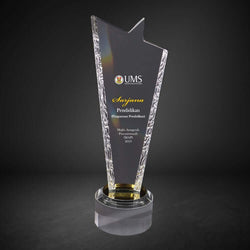 Crystal Award CY 1345 Corporate Gifts Singapore