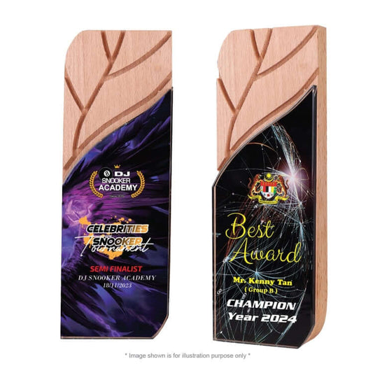 Crystal Award CY 437 Corporate Gifts Singapore