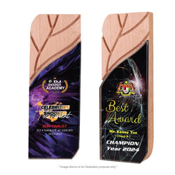 Crystal Award CY 437 Corporate Gifts Singapore