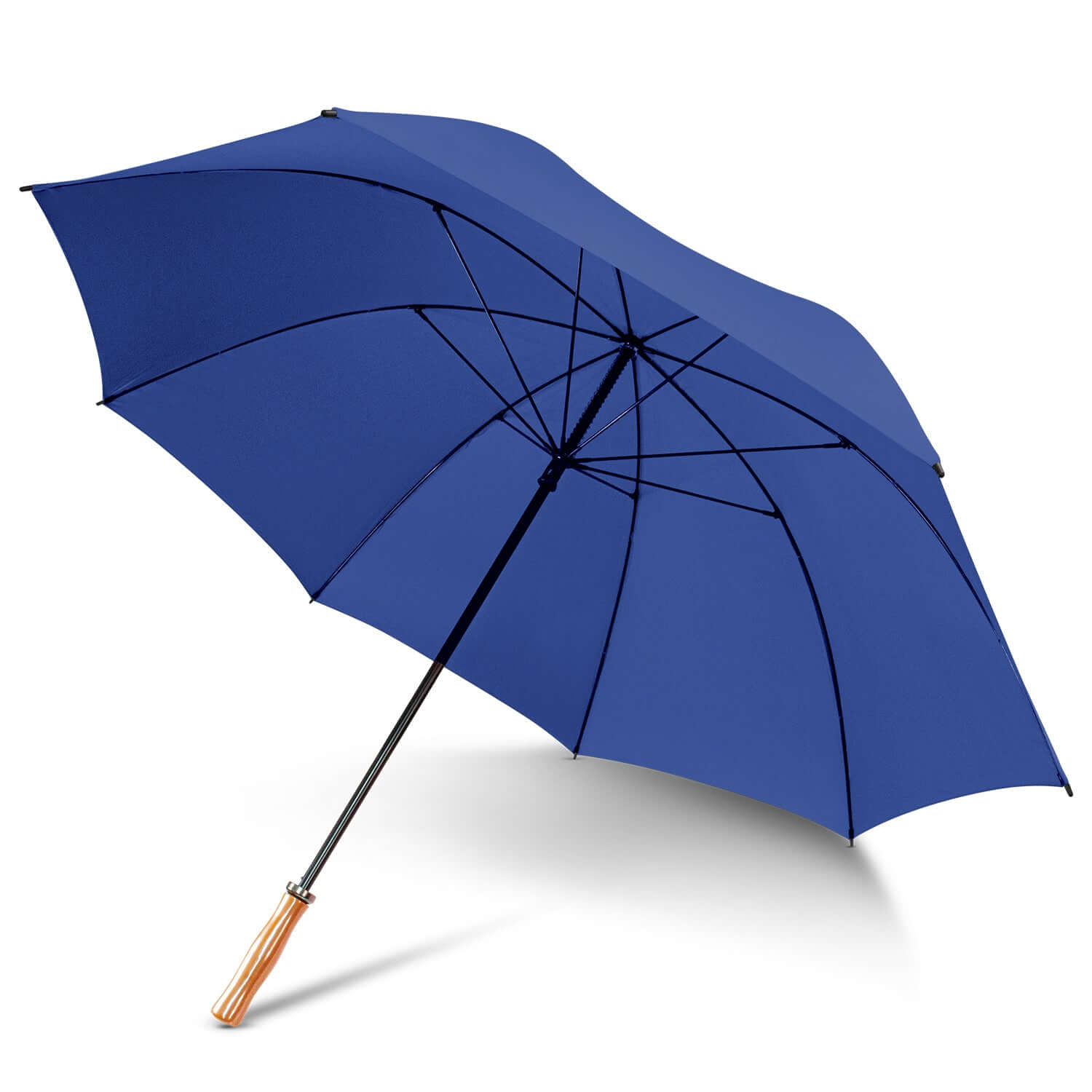 Pro Umbrella Corporate Gift Singapore