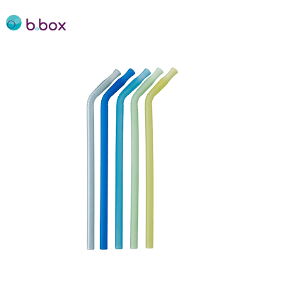B BOX 5Pc Silicone Straw Corporate Gifts Singapore