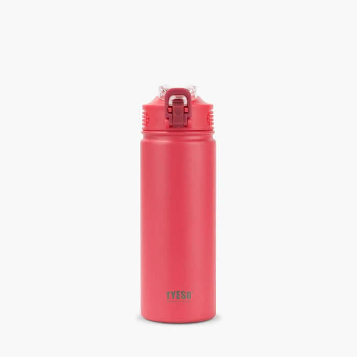 TYESO Wander Stainless Steel Sports Bottle With Straw 20oz Corporate Gifts Singapore