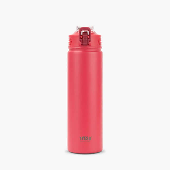 TYESO Wander Stainless Steel Sports Bottle With Straw 25oz Corporate Gifts Singapore