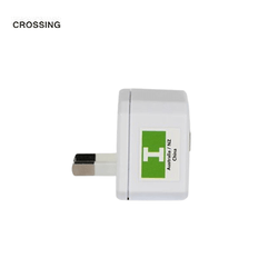 Crossing Travel Adaptor Plug - I