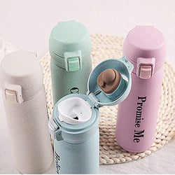 Eco Friendly Wheat Straw Stainless Steel Bottle Corporate Gifts Singapore