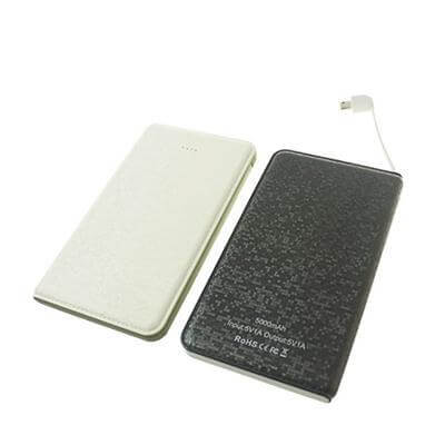 2 in 1 Portable Charger Corporate Gifts Singapore