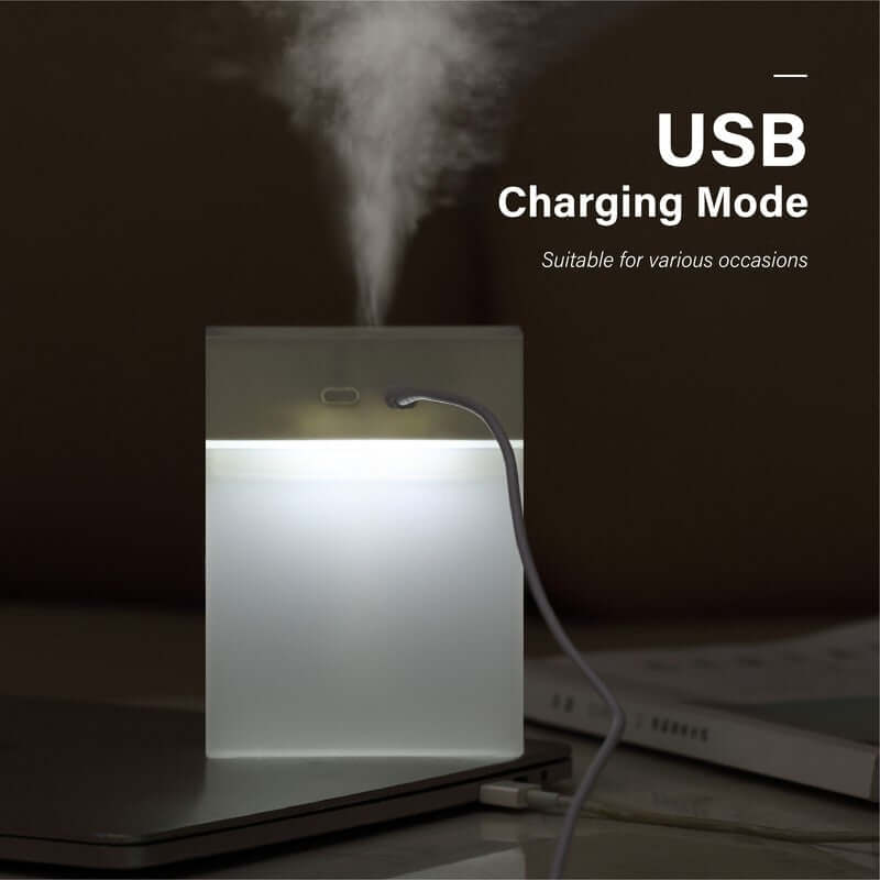 280ml Mini Humidifier with Night Light Corporate Gifts Singapore