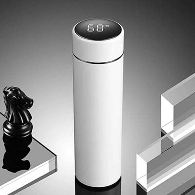 LED Temperature Display Stainless Steel Tumbler Corporate Gifts Singapore