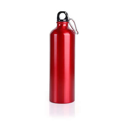 Alpine Aluminium Bottle Corporate Gifts Singapore