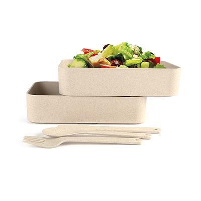 Stylish Husk Fiber 2 Tier Lunch Box with delicious salad and eco-friendly cutlery.