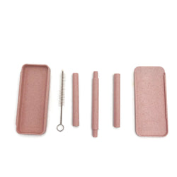 Recycle Drink Straw with Cleaning Brush Corporate Gifts Singapore