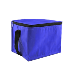 Trendy Insulated Cooler Bag Corporate Gifts Singapore