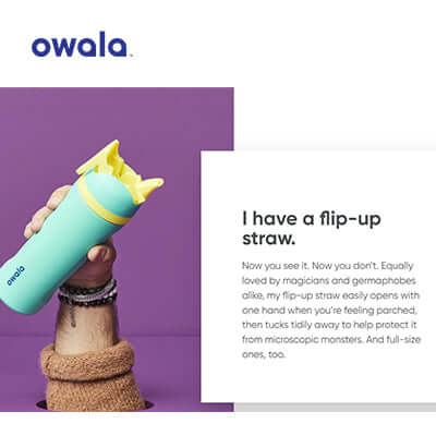 Owala Stainless Steel Flip water bottle with flip-up straw, perfect for on-the-go hydration and corporate gifts.