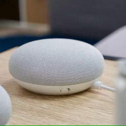 Google Nest Mini Corporate Gifts Singapore