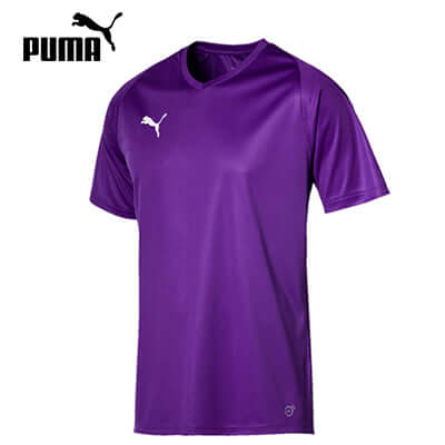 Puma Liga Sideline Tee Shirt in purple color, made from breathable mesh fabric for workouts.