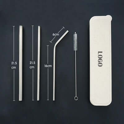 4-in-1 Silver Stainless Steel Drinking Straw Gifts Set Corporate Gifts Singapore