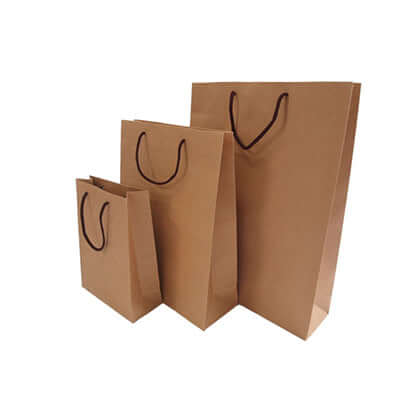 Eco-Friendly Brown Kraft Paper Bag Corporate Gifts Singapore